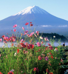 Photo: Yamanashi Prefecture Tourist Association